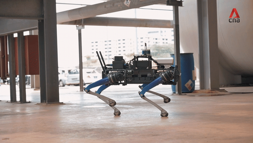 Home Team’s robotic dog could respond to chemical incidents, support police patrols when it joins frontline operations