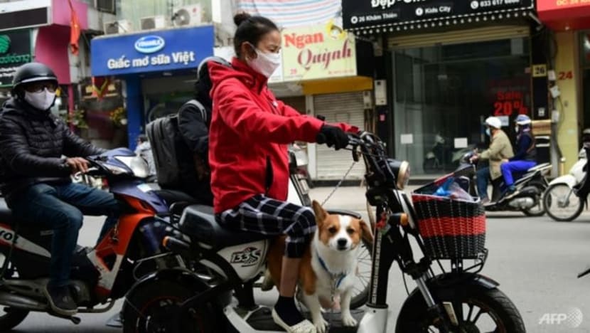 Bandar pelancongan Vietnam ikrar henti penjualan daging anjing & kucing