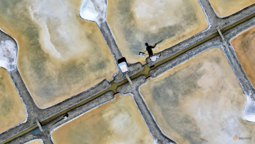 The unwitting winners of France's drought: Salt farmers The unwitting winners of France's drought: Salt farmers