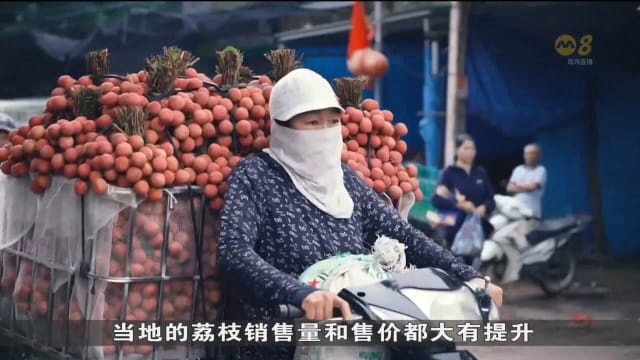 越南荔枝季节大丰收 上半年蔬果出口创28亿美元