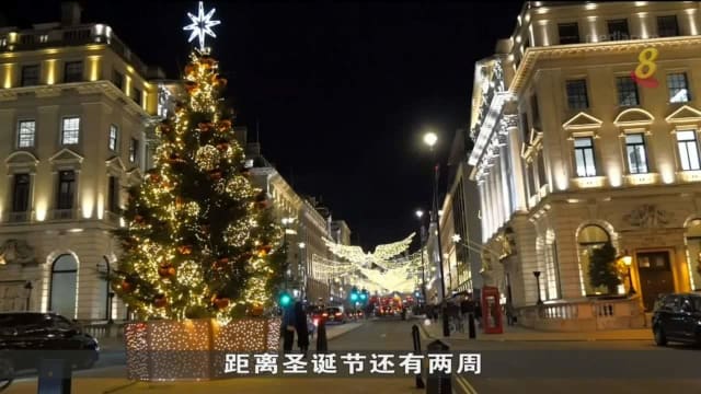 英国推出圣诞树租赁服务 提倡环保减少浪费