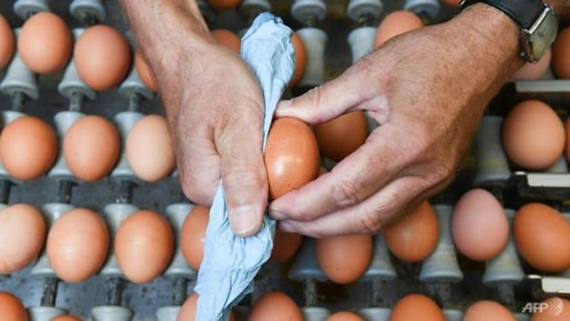 Harga telur naik 4% sepanjang 6 bulan: Chan Chun Sing