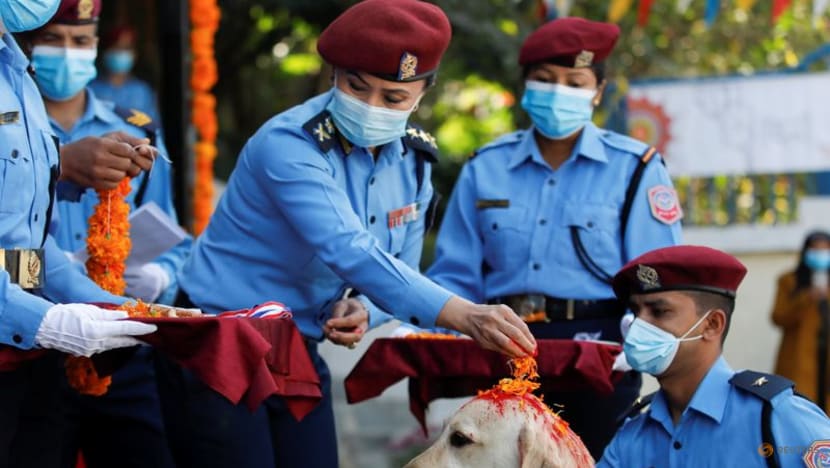 Baths, garlands for man's best friend at Nepal's canine festival Baths, garlands for man's best friend at Nepal's canine festival
