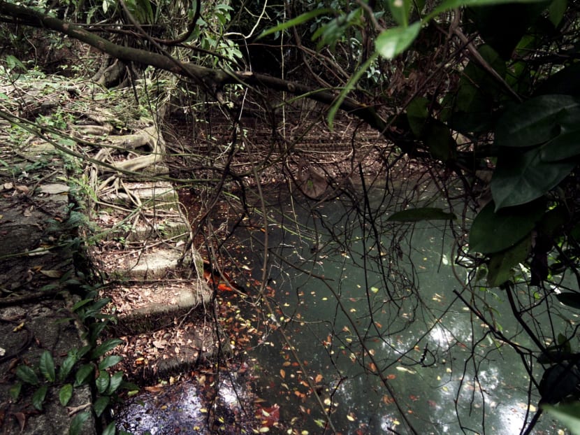 Abandoned reservoir near Telok Blangah Road found