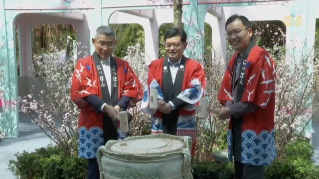 冠病疫情后 樱花展重磅回归滨海湾花园花穹