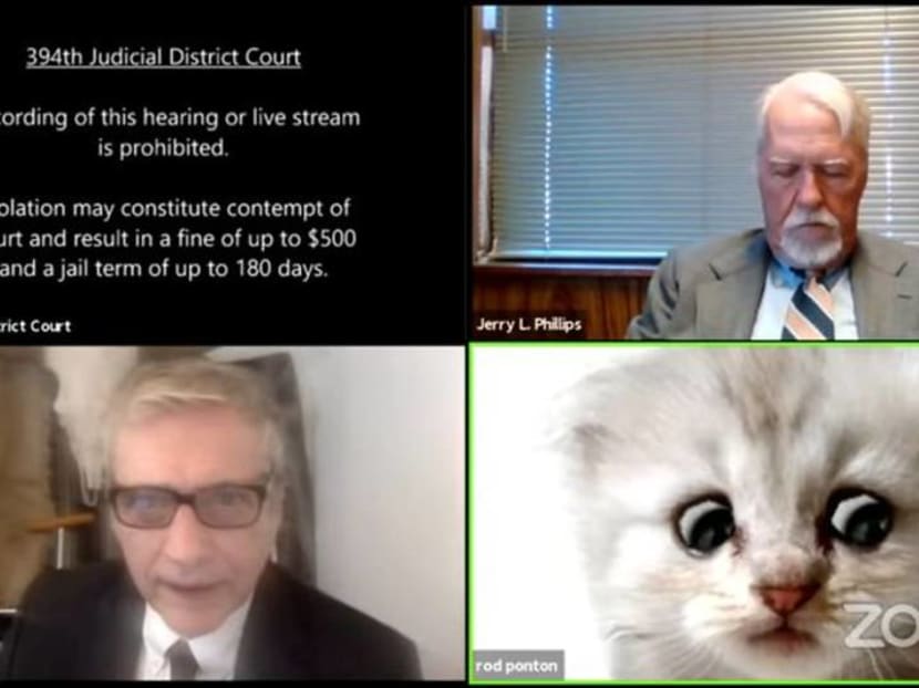 'I'm not a cat,' says lawyer after Zoom filter mishap 'I'm not a cat,' says lawyer after Zoom filter mishap