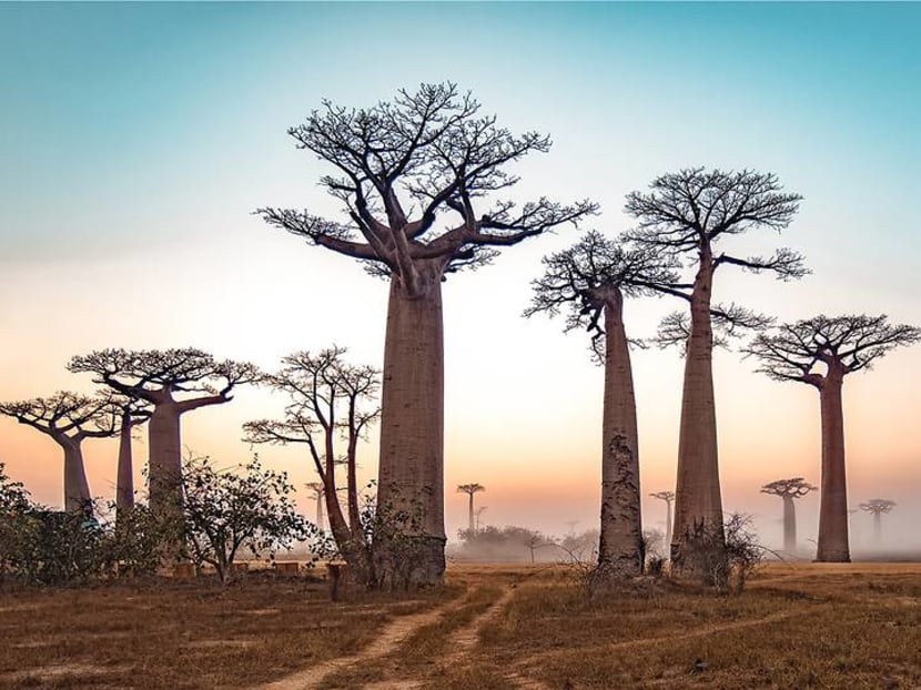 All about access: Small group tours are the next big thing in luxury travel All about access: Small group tours are the next big thing in luxury travel