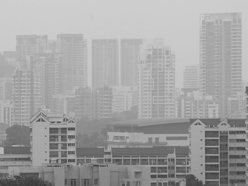 Fighting haze: What consumers, firms can do