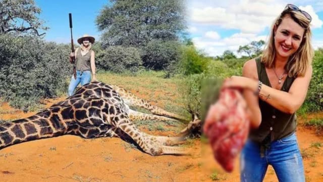 猎杀长颈鹿取心 南非女子：“最棒情人节礼物”