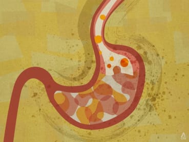 Why you're prone to food allergies, lactose intolerance and heartburn as you get older | Interactive