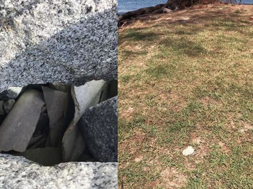 Examples of the asbestos containing materials found on Kusu Island.