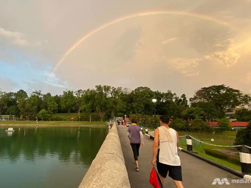 Going wild about nature: Long walks around Singapore an alternative to overseas travel Going wild about nature: Long walks around Singapore an alternative to overseas travel