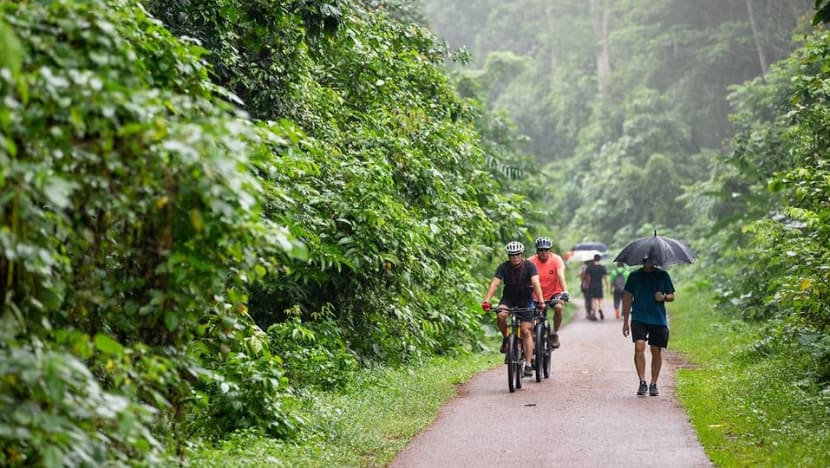 NParks to add new access point to the Rail Corridor: Desmond Lee NParks to add new access point to the Rail Corridor: Desmond Lee