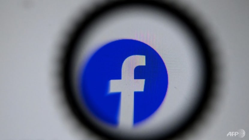 Facebook a 'propaganda tool' for Vietnam government, say activists Facebook a 'propaganda tool' for Vietnam government, say activists