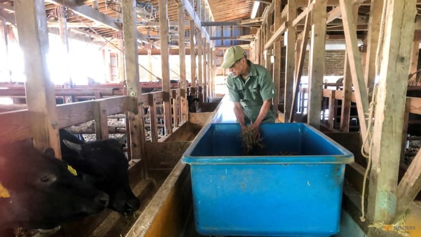 On Japan's farms, a weakening yen adds to slow-burning discontent On Japan's farms, a weakening yen adds to slow-burning discontent