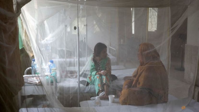 Malaria and diseases spreading fast in flood-hit Pakistan Malaria and diseases spreading fast in flood-hit Pakistan