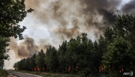 By air, land, French police track forest fire-starters