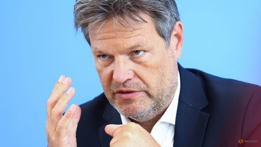Germany would weather Russian oil ban despite shortages: Minister Germany would weather Russian oil ban despite shortages: Minister