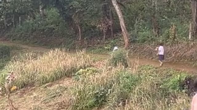 打包学校剩下的粿条给妈妈 泰女学生孝心感动网民