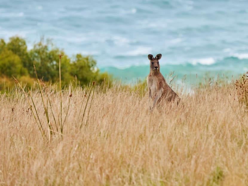 Head Down Under with the family to make memories that will last a lifetime Head Down Under with the family to make memories that will last a lifetime