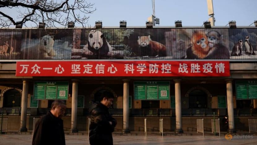 As WHO highlights COVID-19 animal origins, China wildlife crackdown needs more teeth: Experts As WHO highlights COVID-19 animal origins, China wildlife crackdown needs more teeth: Experts