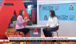 Sensible for companies to prepare for geopolitical risks and decarbonise at the same time: CEO