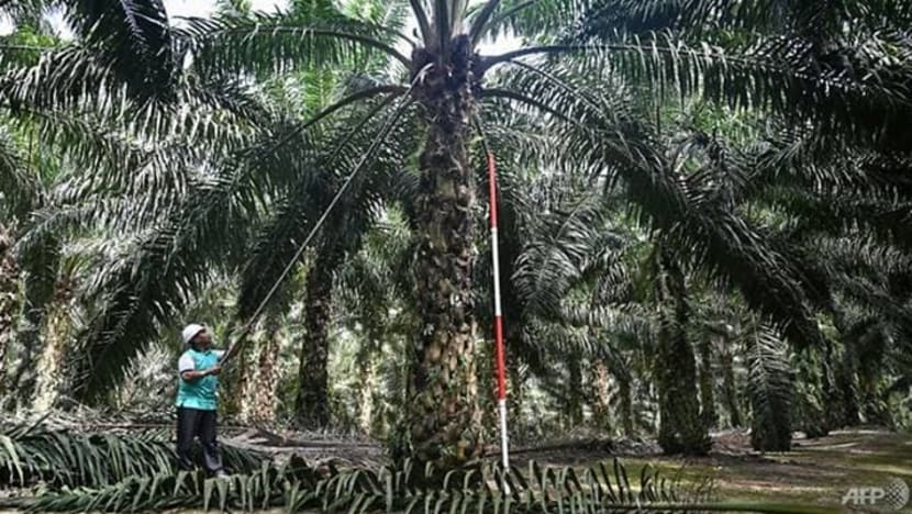 M’sia intai peluang tembusi pasaran minyak kelapa sawit di benua Afrika