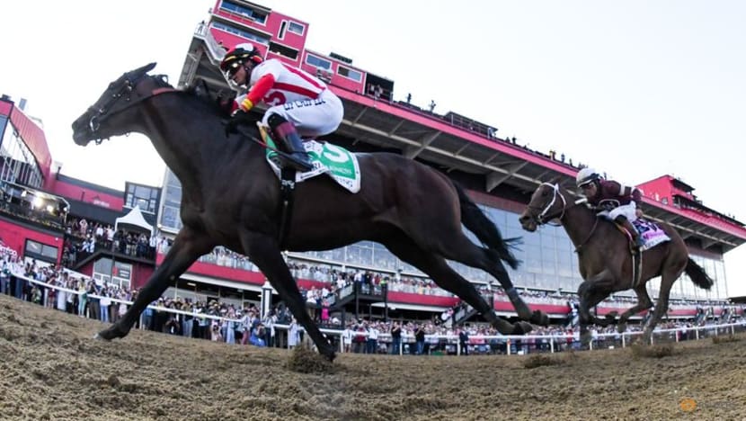 Horse racing-Early Voting overcomes scorching heat to win Preakness Horse racing-Early Voting overcomes scorching heat to win Preakness