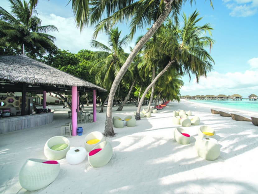 Gallery: Maldives, a kiddy paradise
