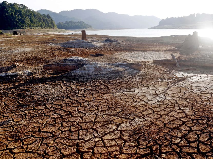 A view of Linggiu Reservoir in Johor. TODAY file photo