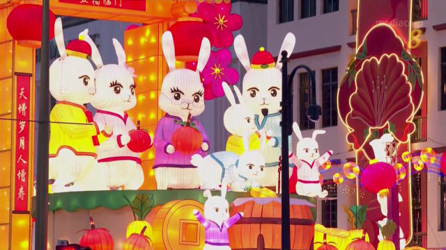 狮城有约 | 牛车水农历新年亮灯仪式