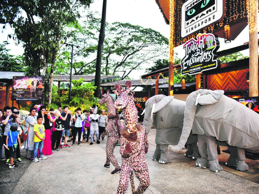 Visitors can enjoy a Paw-some Parade with appearances of elaborately costumed giraffes and zebras at Night Safari. Photo: Wildlife Reserves Singapore