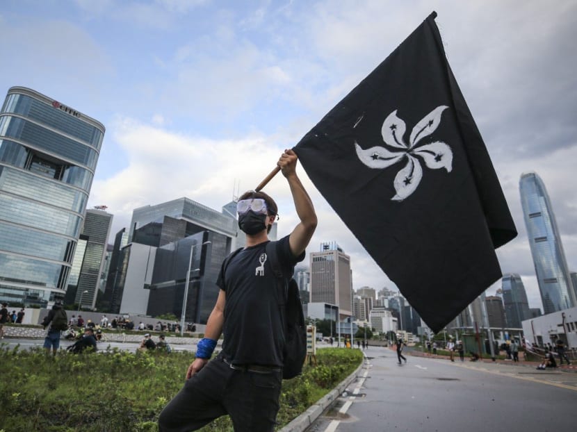 A protester holds up a black version of the Hong Kong bauhinia flag outside the Legislative Council building and chamber on Monday, July 1, 2019.