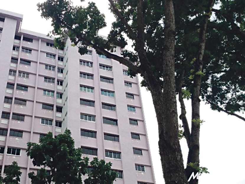 A block of flats in Bedok South that is under the PPHS. Photo: Channel NewsAsia