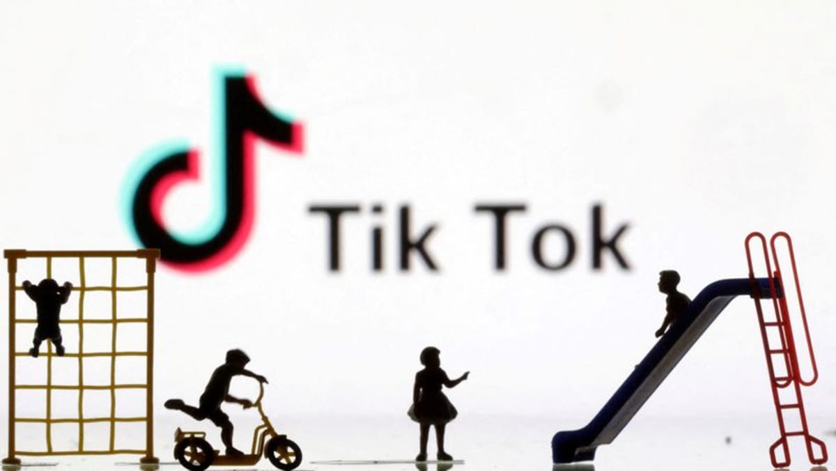 ONG portuguesa processa TikTok e diz que plataforma ‘beneficia crianças’