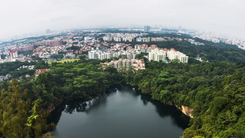 Singapore to host international rainforest competition in 2023 Singapore to host international rainforest competition in 2023