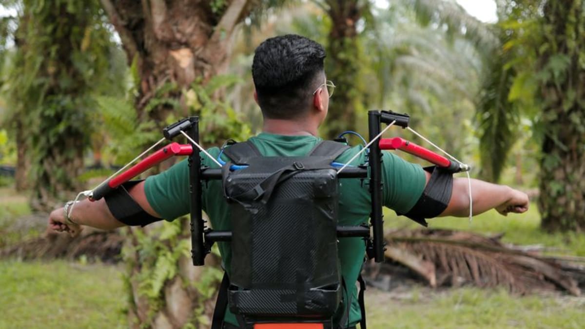 Penanam kelapa sawit Malaysia melihat robot, drone untuk memerangi krisis tenaga kerja
