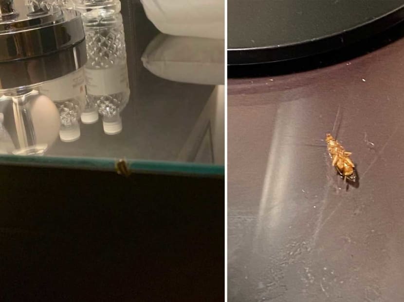 Left: A cockroach that Ms Shveta Venkatram said she spotted during her stay at Grand Copthorne Waterfront. Right: A cockroach that Ms Jisoo Lee said she saw in her hotel room at the Grand Copthorne Waterfront.
