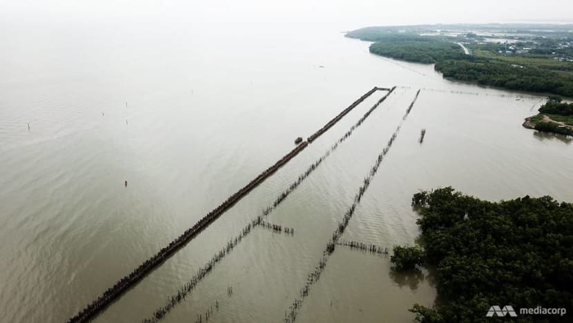 Salty rivers, failed durian trees and waves consuming the shore: Climate change realities hit Gulf of Thailand Salty rivers, failed durian trees and waves consuming the shore: Climate change realities hit Gulf of Thailand