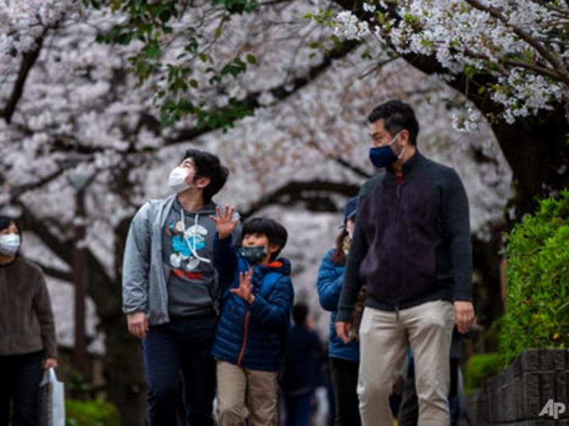 Japan's famous cherry blossoms bloom early as climate warms Japan's famous cherry blossoms bloom early as climate warms
