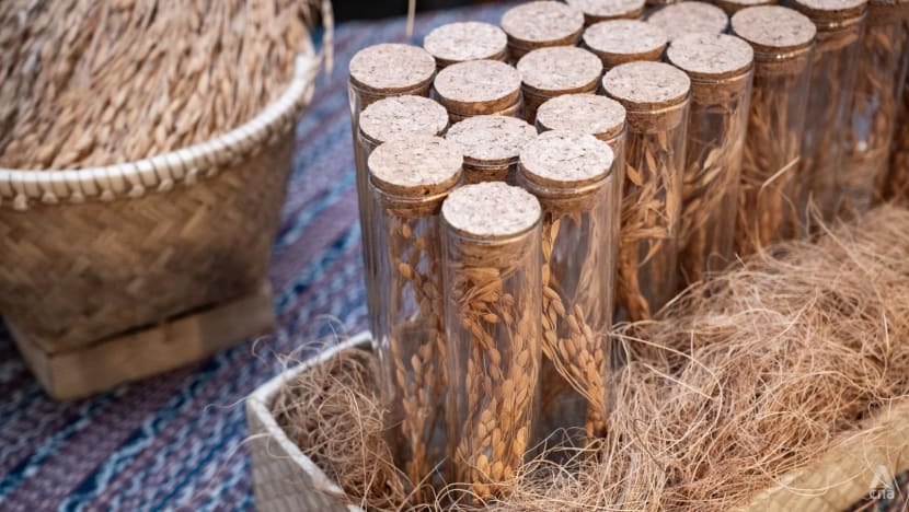 Arise the 'rice connoisseurs': Passionate Indonesians are reviving appetite for long-forgotten varieties Arise the 'rice connoisseurs': Passionate Indonesians are reviving appetite for long-forgotten varieties