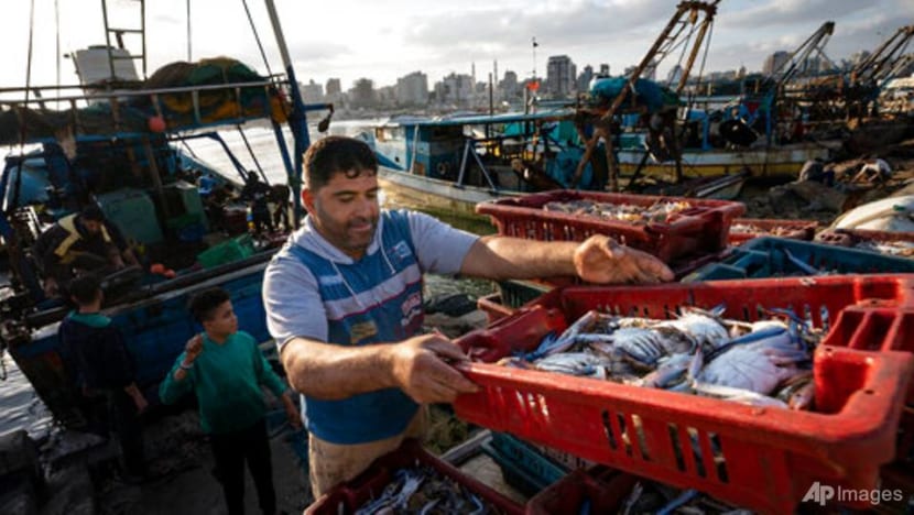 Gaza fishermen take to water again after ceasefire 