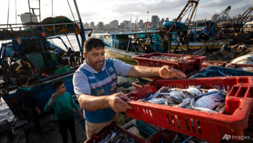 Gaza fishermen take to water again after ceasefire Gaza fishermen take to water again after ceasefire
