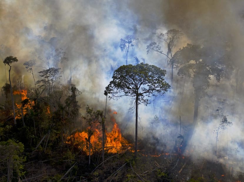 Smoke rises from an illegally lit fire in Amazon rainforest reserve in this photo taken on August 15, 2020.
