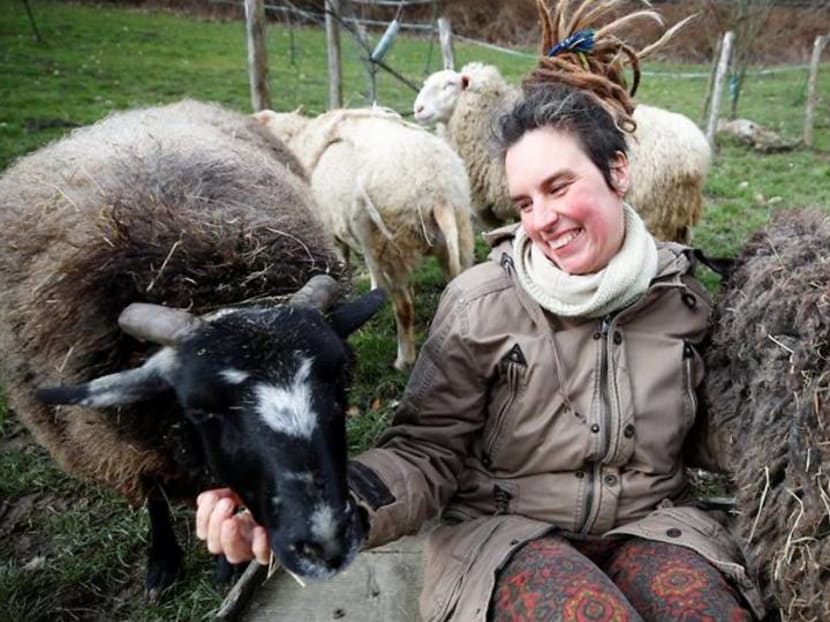 Feeling lonely in lockdown? Try hugging a sheep Feeling lonely in lockdown? Try hugging a sheep