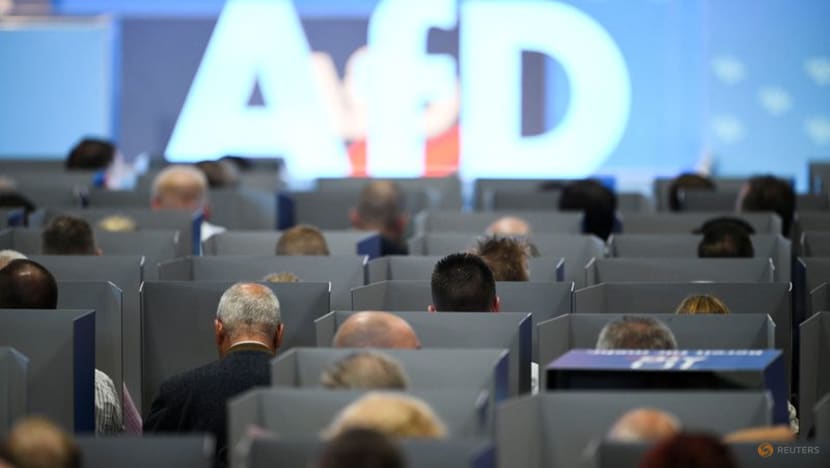 Thousands protest against Germany's far-right AfD party