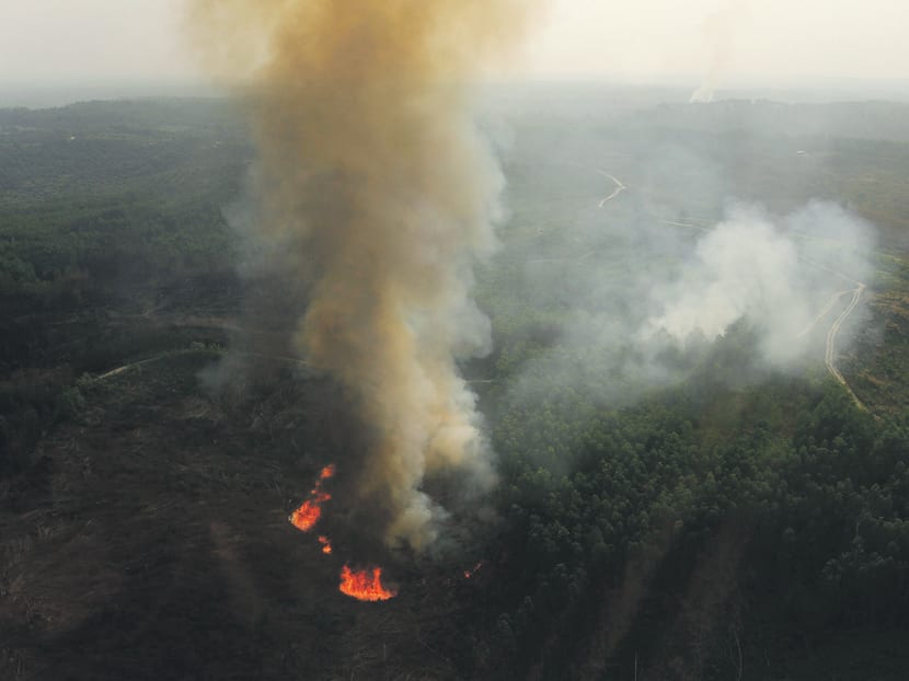 An aerial view of burning trees is seen during the haze in Indonesia's Riau province June 28, 2013. REUTERS file photo