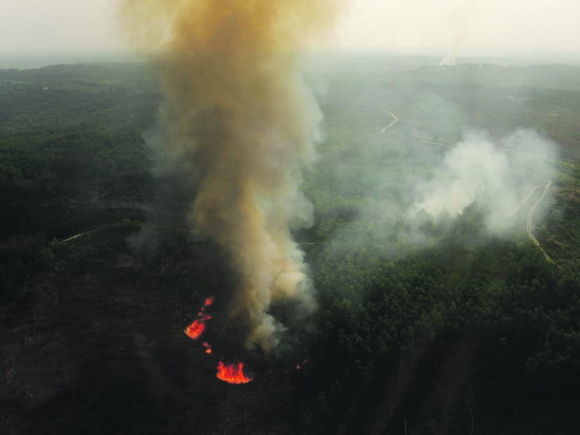Haze from forest fires in South Sumatra continue to affect both businesses and civilians. An aerial view of burning trees is seen during the haze in Indonesia's Riau province June 28, 2013. Photo: Reuters