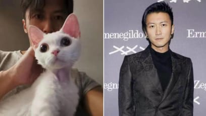 Nicholas Tse Posts Vids Of Him Playing With His Cats; Netizens Obsess Over His Home