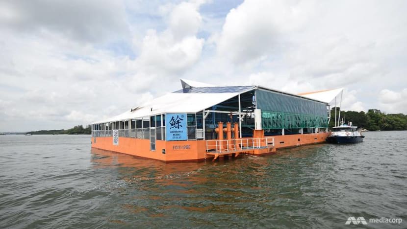New offshore fish farm to yield up to 20 times more fish than other coastal farms New offshore fish farm to yield up to 20 times more fish than other coastal farms
